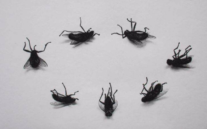 portfolio item Wilma Stegeman met de titel: Dancing with the flies
