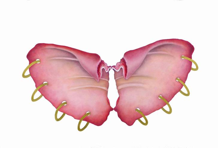 portfolio item Wilma Stegeman met de titel: Pink Butterfly Pierced (large)