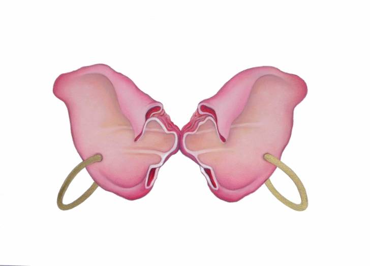 portfolio item Wilma Stegeman met de titel: Pink Butterfly Pierced I