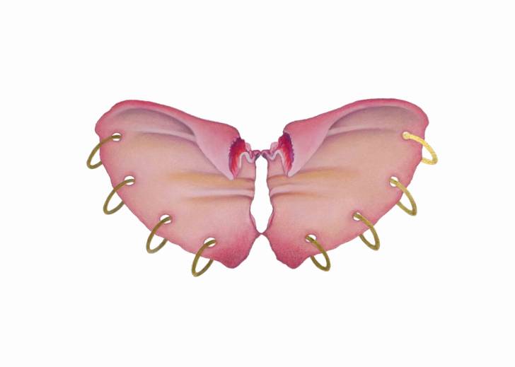 portfolio item Wilma Stegeman met de titel: Pink Butterfly Pierced II